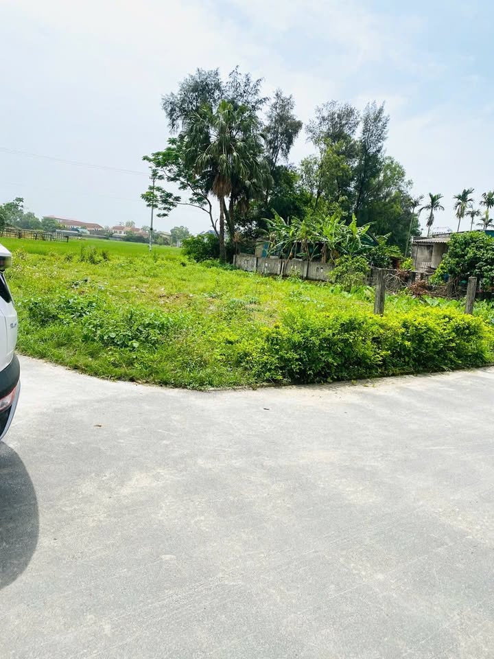 Đất lô góc Thạch Hội, Thạch Hà 183m² giá chỉ 8xx triệu - Đường thảm đẹp!