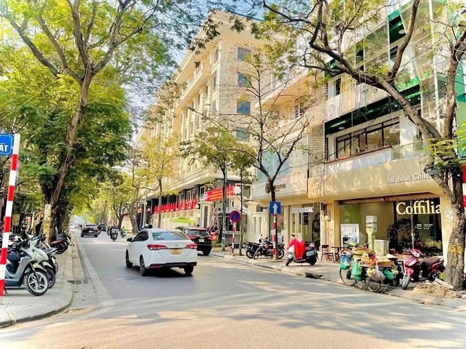 Cho thuê mặt bằng kinh doanh Nguyễn Khánh Toàn Cầu Giấy 120m² - Vị trí đắc địa, giá tốt!