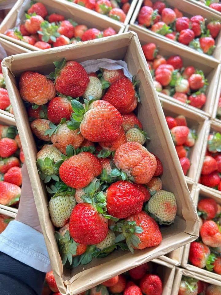 Đất nền góc đường Huỳnh Thúc Kháng, 40.1m² giá 2.25 tỷ - Sổ hồng chính chủ!