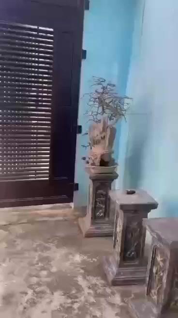 Nhà cấp 4 có gác lửng tại Phước Nghĩa, 161.1m², giá 1.2 tỷ - Đầu tư sinh lời!