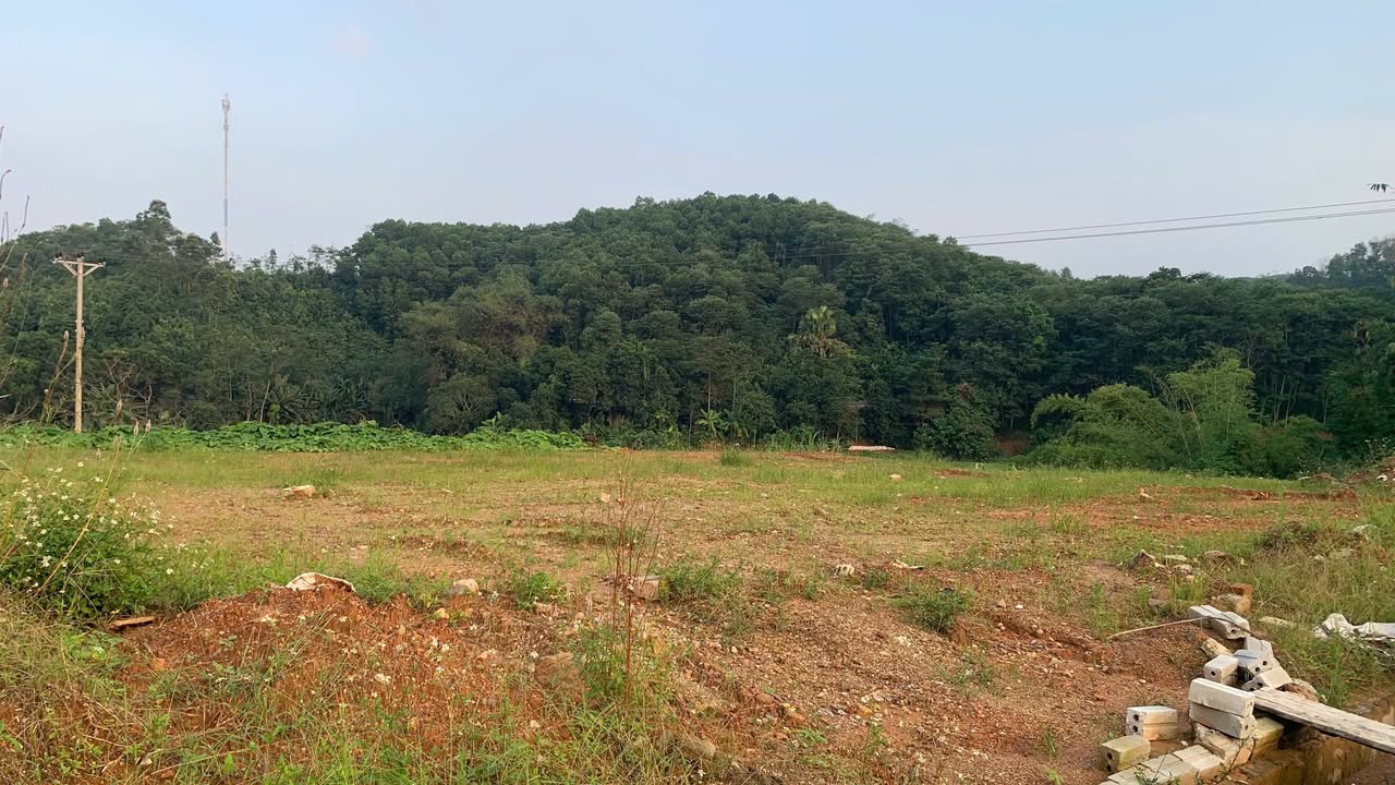 Bán đất Yên Bái 950m² giá 3.6 tỷ - Vị trí đắc địa, tiềm năng phát triển!