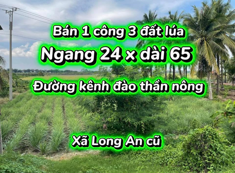 Đất nền mặt tiền kênh đào Thần Nông - Diện tích 8450m² chỉ 900 triệu - Pháp lý sổ hồng chính chủ!