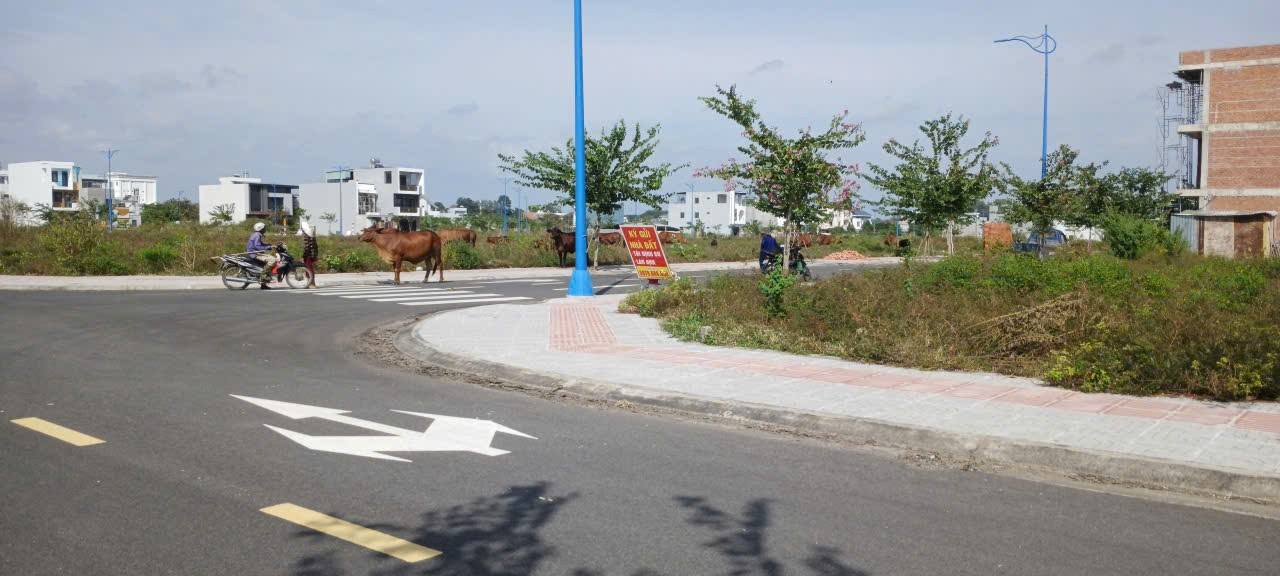 Đất nền Tam Long Bà Rịa 90m² giá 2 tỷ - Vị trí đẹp, sổ hồng riêng!