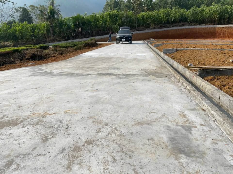 Đất nền Tu Vũ, Thanh Thủy 126m² giá 500 triệu - Đường thông thoáng, view đồng mát mẻ!