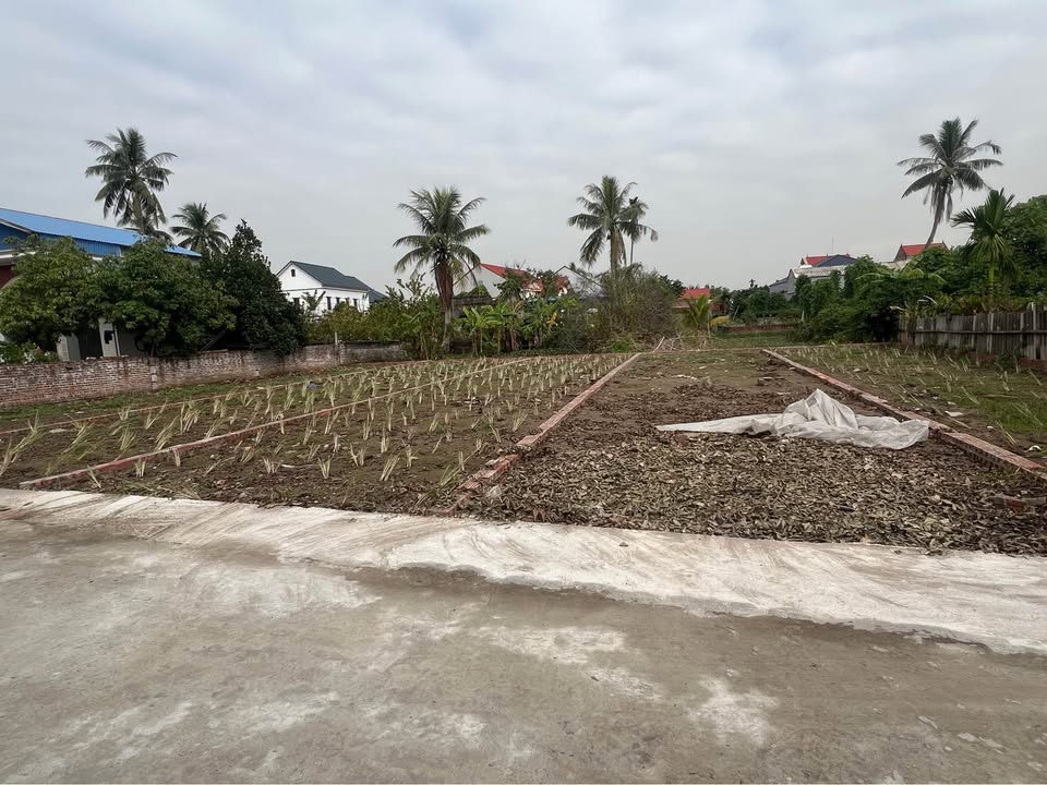 Đất nền Cẩm Chế Thanh Hà 100m² giá chỉ 600 triệu - Đầu tư sinh lời ngay!