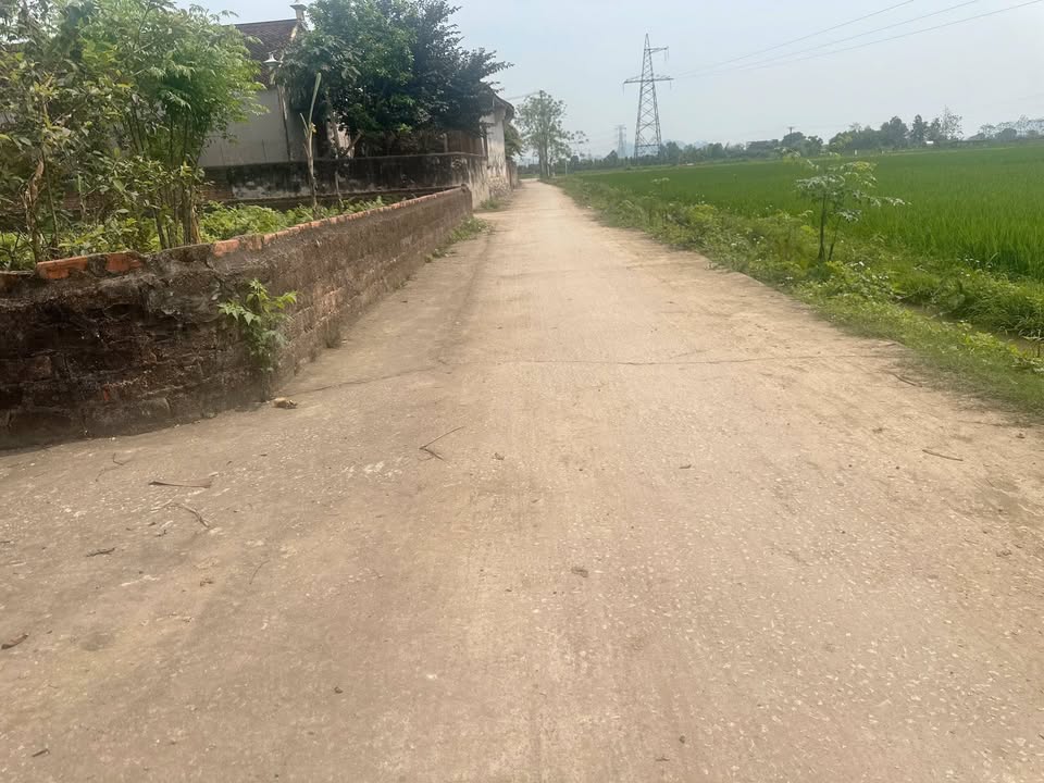 Đất nền Dân Lý Triệu Sơn 309m² giá chỉ 9xx triệu - Cơ hội đầu tư hiếm có!