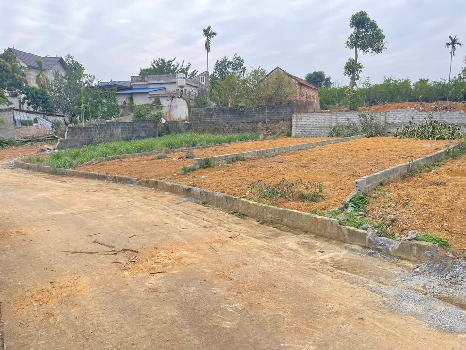 Đất nền Phú Cát Quốc Oai 115m² giá 2 tỷ - Sổ hồng chính chủ, đầu tư sinh lời!