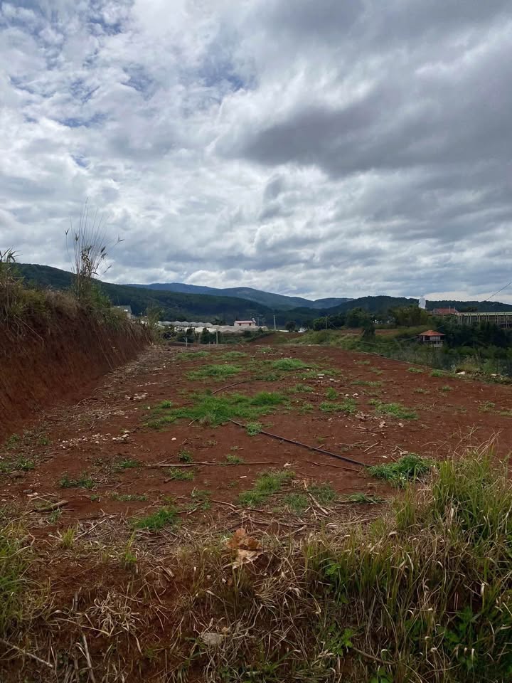 Bán lô đất 2 mặt tiền Cam Ly, Đà Lạt 1000m² - Giá chỉ 3 tỷ, cơ hội đầu tư tuyệt vời!