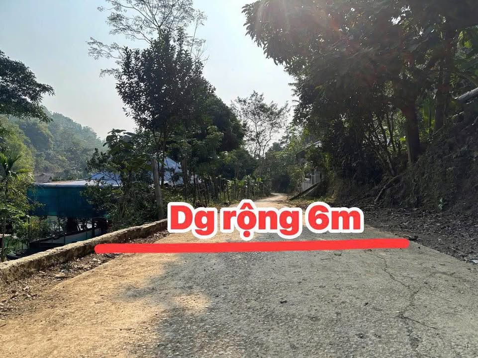 Đất farm 1002m² tại Suối Hoa, Tân Lạc, Hòa Bình - Giá cực tốt, view hồ tuyệt đẹp!