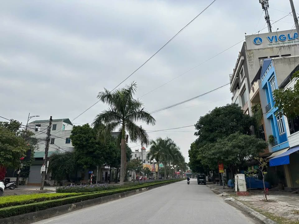 Nhà nguyên căn cho thuê đường Nguyễn Phúc Lai 160m² - Giá tốt, vị trí đắc địa!