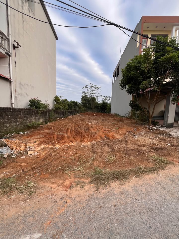 Đất nền Lục Nam 350m² giá 1.99 tỷ - Sổ hồng chính chủ, đầu tư sinh lời!