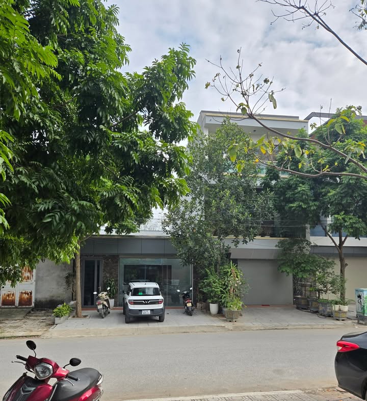 Đất mặt đường Chu Văn An, phường Việt Trì, 98m² - Tiềm năng kinh doanh cao!