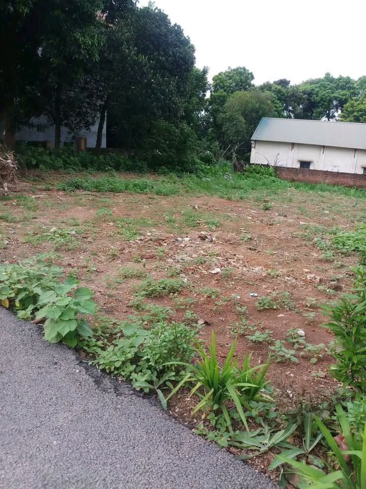 Đất thổ cư 221m² tại Thanh Miếu, Việt Trì giá 3 tỷ - Thiết kế nhà vườn thoải mái!