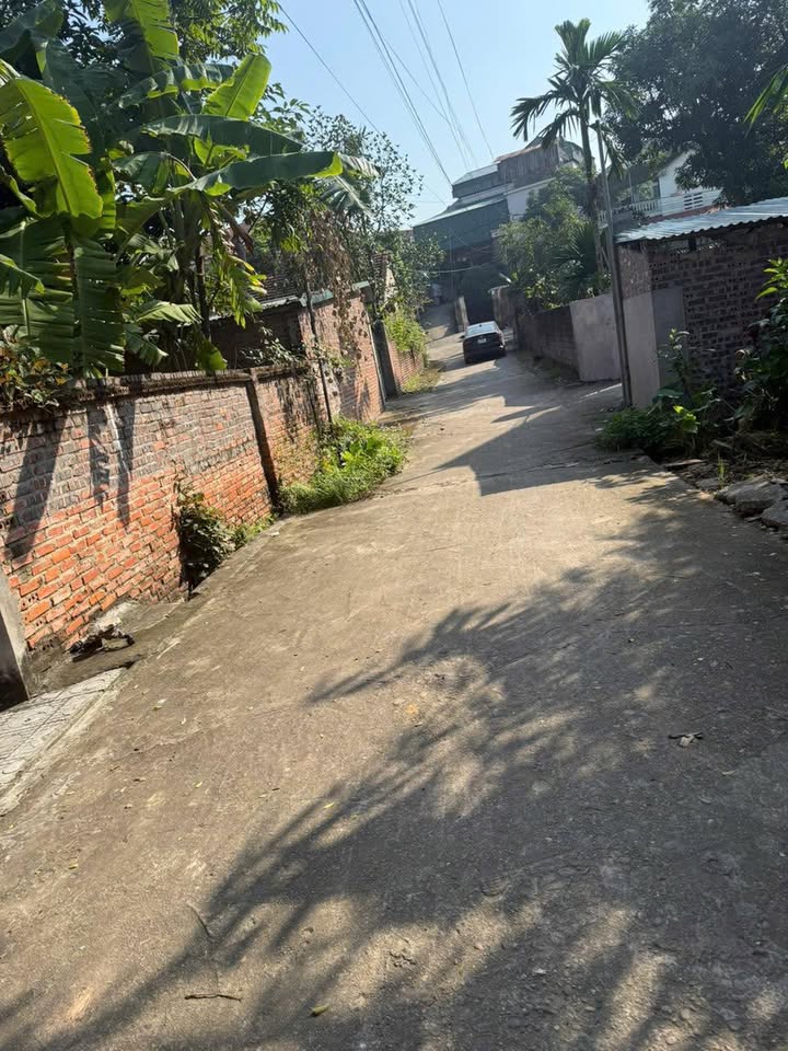 Đất nền khu 13 Cao Xá 105m² - Giá mềm đầu tư sinh lời!