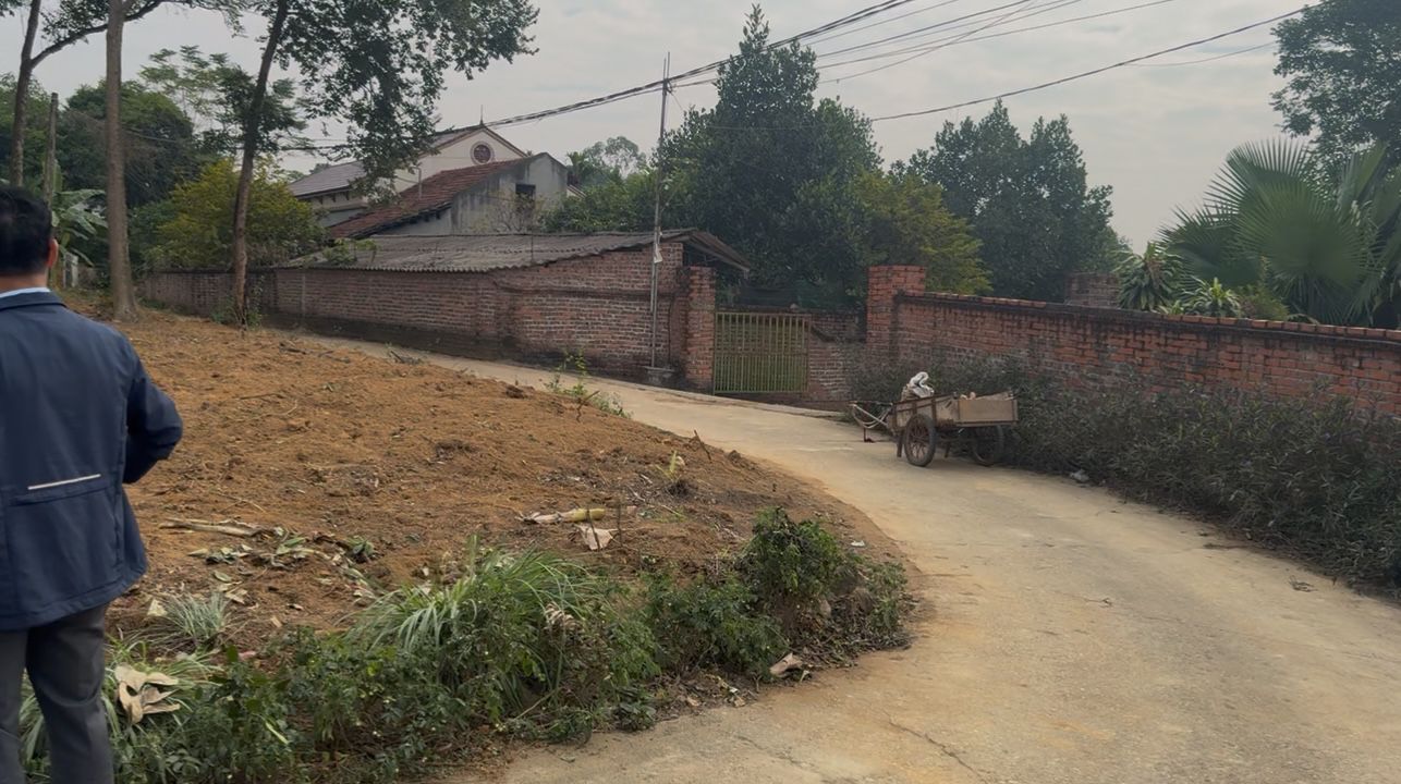 Đất thổ cư 100m² tại Thanh Đình, Việt Trì - Chỉ 800 triệu, cơ hội vàng cho nhà đầu tư!