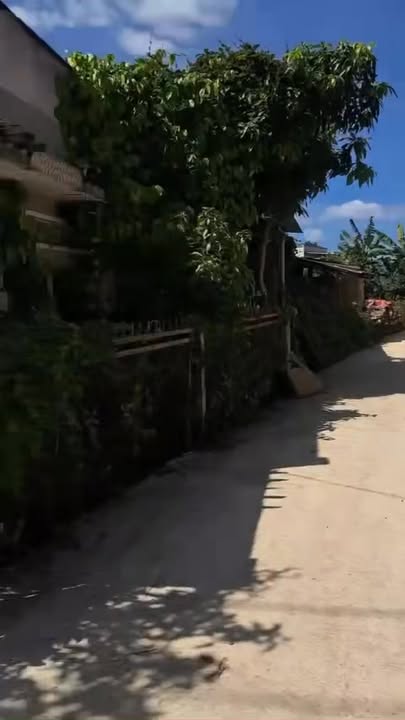 Đất nền 985m² tại Bình Thạnh, Đức Trọng - Phong thủy Tài Lộc, giá 1.65 tỷ!