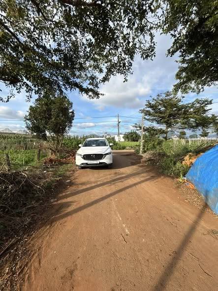 Đất nền đầu tư tại Tổ 34, Thị trấn Liên Nghĩa 100m² giá 1.25 tỷ - Cơ hội vàng cho nhà đầu tư!