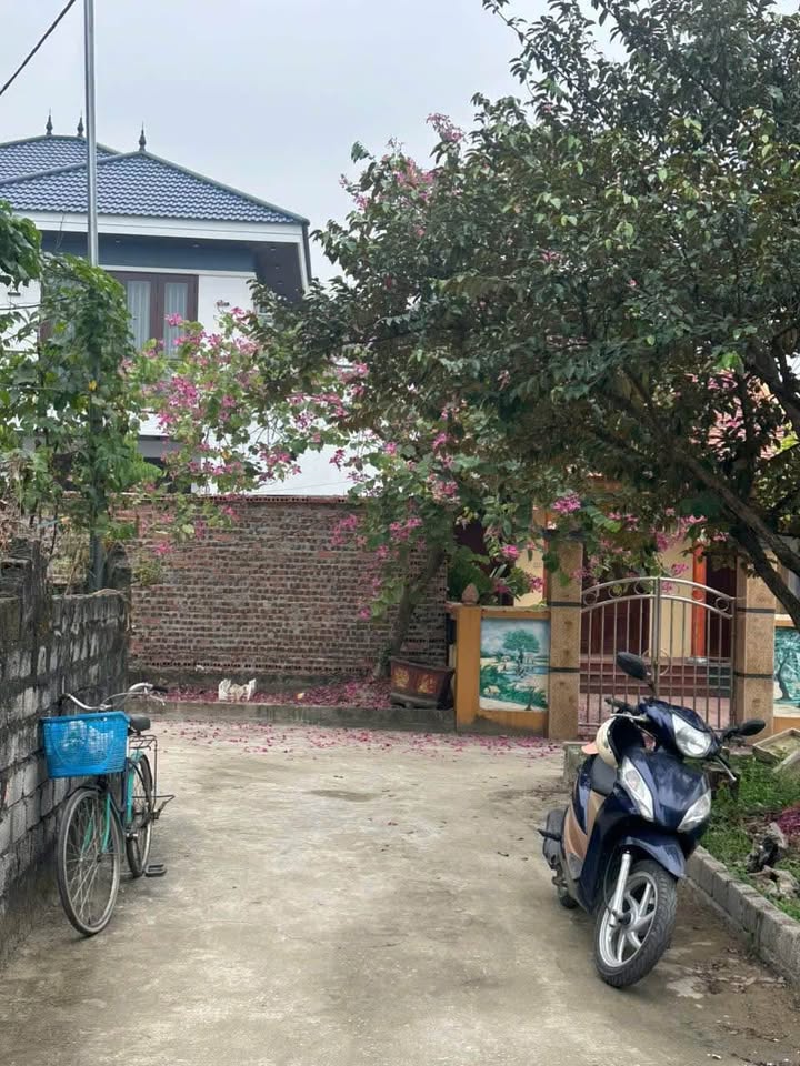 Đất thổ cư Thanh Chương 100m² giá 1.3 tỷ - Tiện ích bủa vây!