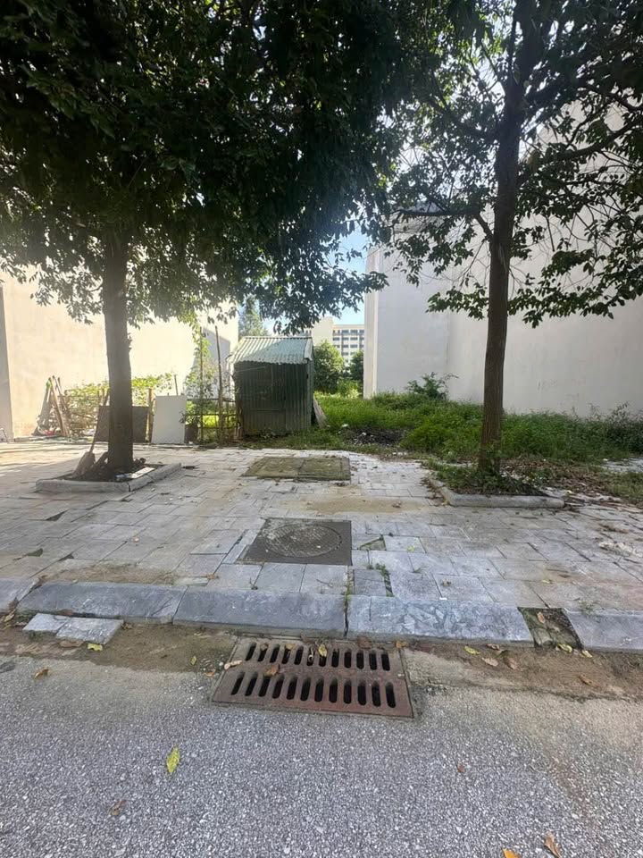 Đất nền Đông Hải 87.5m² giá 3.9 tỷ - Đối diện biệt thự, vị trí đắc địa!