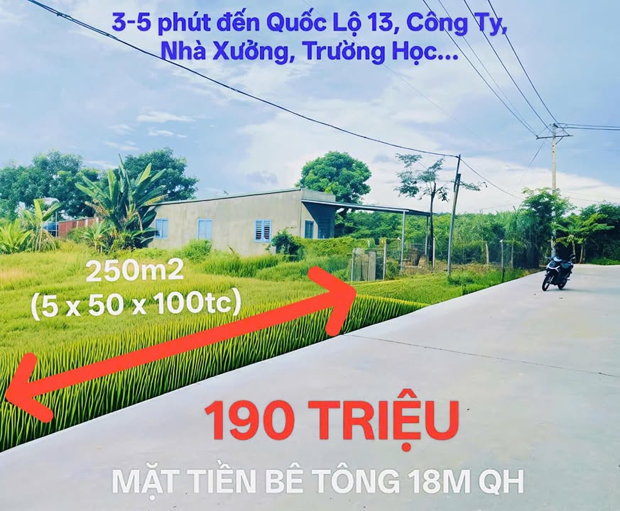 Đất nền Lộc Hưng - Lộc Ninh 250m² chỉ 190 triệu - Đầu tư sinh lời ngay!