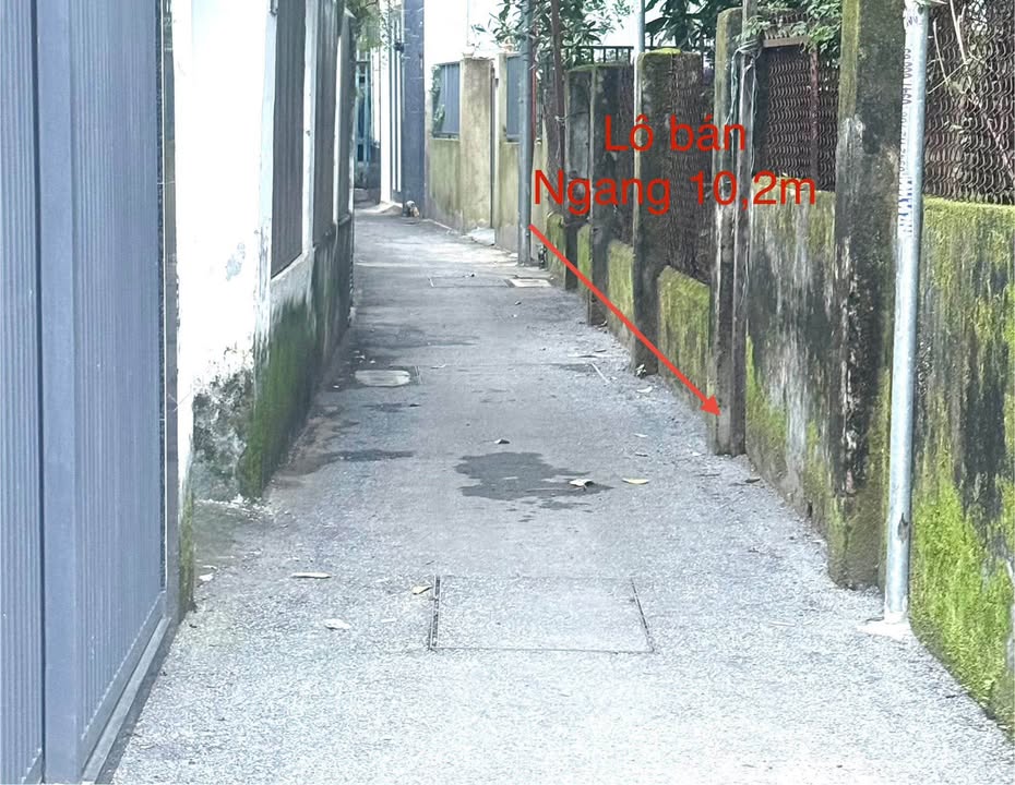 Đất nền K462 Nguyễn Phước Nguyên 52m² giá 2.75 tỷ - Xây nhà thoáng mát!