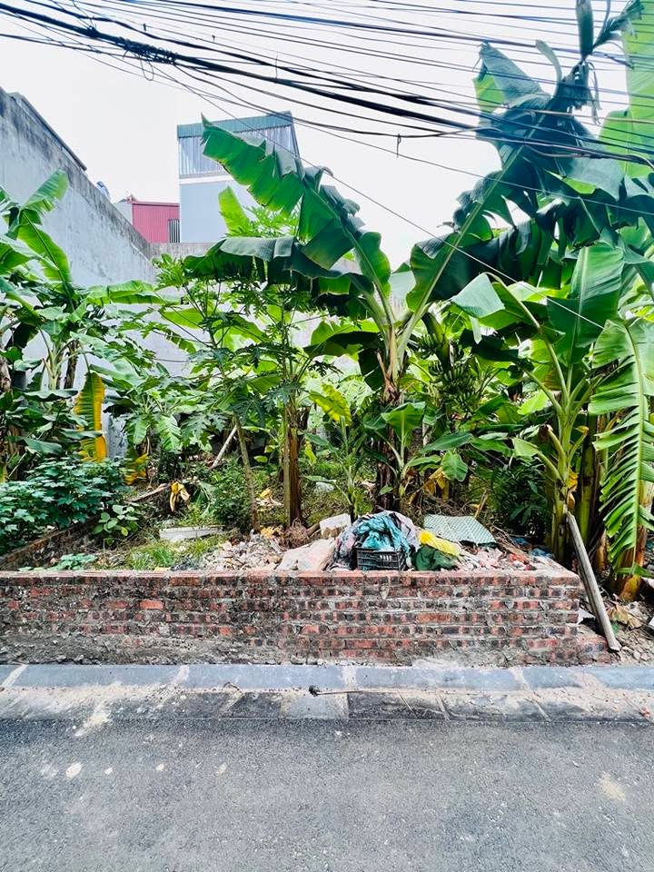 Lô đất Bắc Hồng 48m² giá 3 tỷ - Đầu tư thông minh ngay hôm nay!