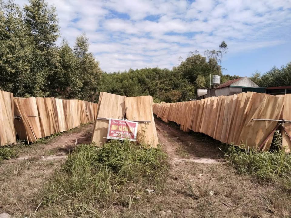 Đất nền chính chủ tại Tây Yên Tử 175m² giá 1 tỷ - Cơ hội đầu tư tuyệt vời!