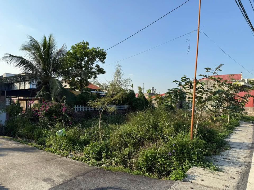 Đất 3 mặt đường Hoa Động, Thủy Nguyên 136m² giá 790 triệu - Cơ hội đầu tư hấp dẫn!