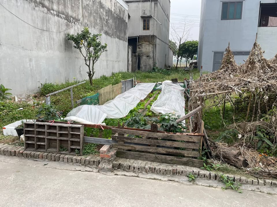 Đất nền 92m² tại Mai Đình, Sóc Sơn - Giá chỉ 3 tỷ, sổ đỏ chính chủ!