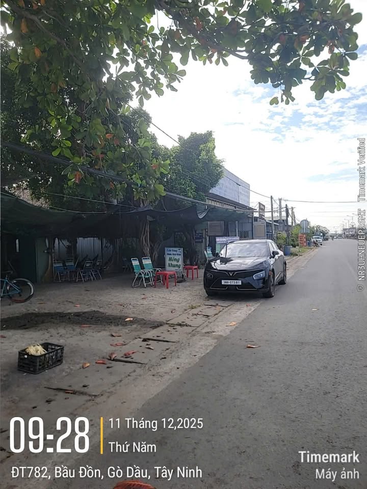 Mặt tiền kinh doanh ĐT782 Gò Dầu 480m² - Cơ hội đầu tư hấp dẫn!