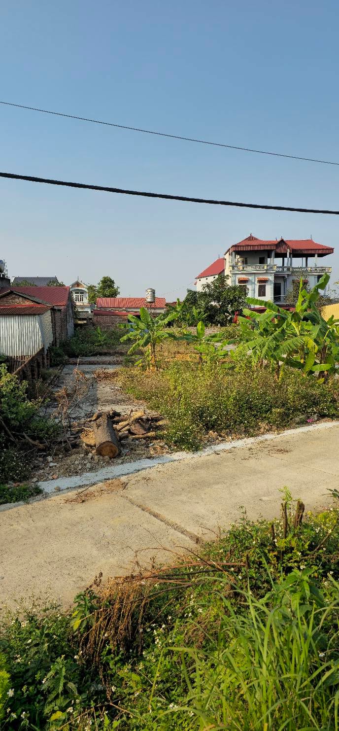 Lô đất Tân Minh Sóc Sơn 82m² giá 1.65 tỷ - Đầu tư sinh lời ngay!