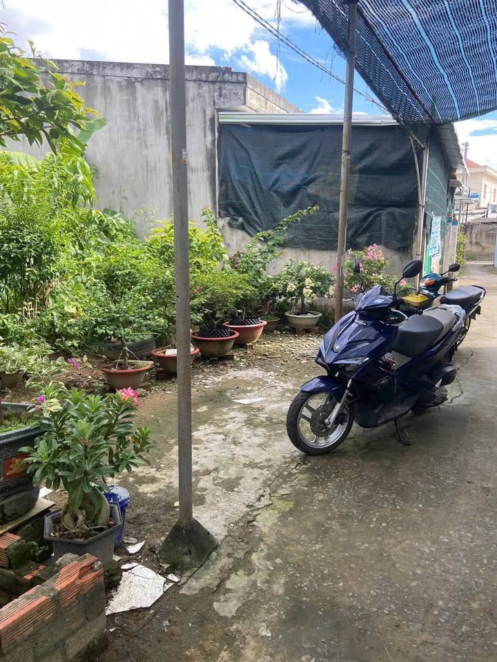 Đất nền Phú Khương Bến Tre 130.7m² giá 850 triệu - Cần bán gấp!