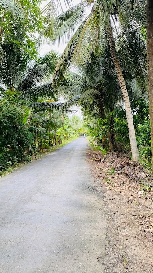 Đất công mặt tiền lộ nhựa xã Nhơn Thạnh 2100m² giá 3.15 tỷ - Đầu tư sinh lời ngay!