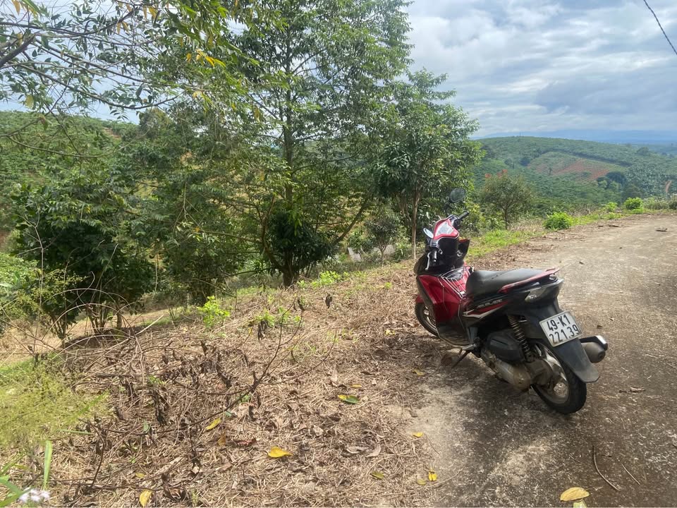 Đất vườn 1500m² tại Lộc Thanh, Bảo Lộc chỉ 1.35 tỷ - Cơ hội đầu tư hấp dẫn!