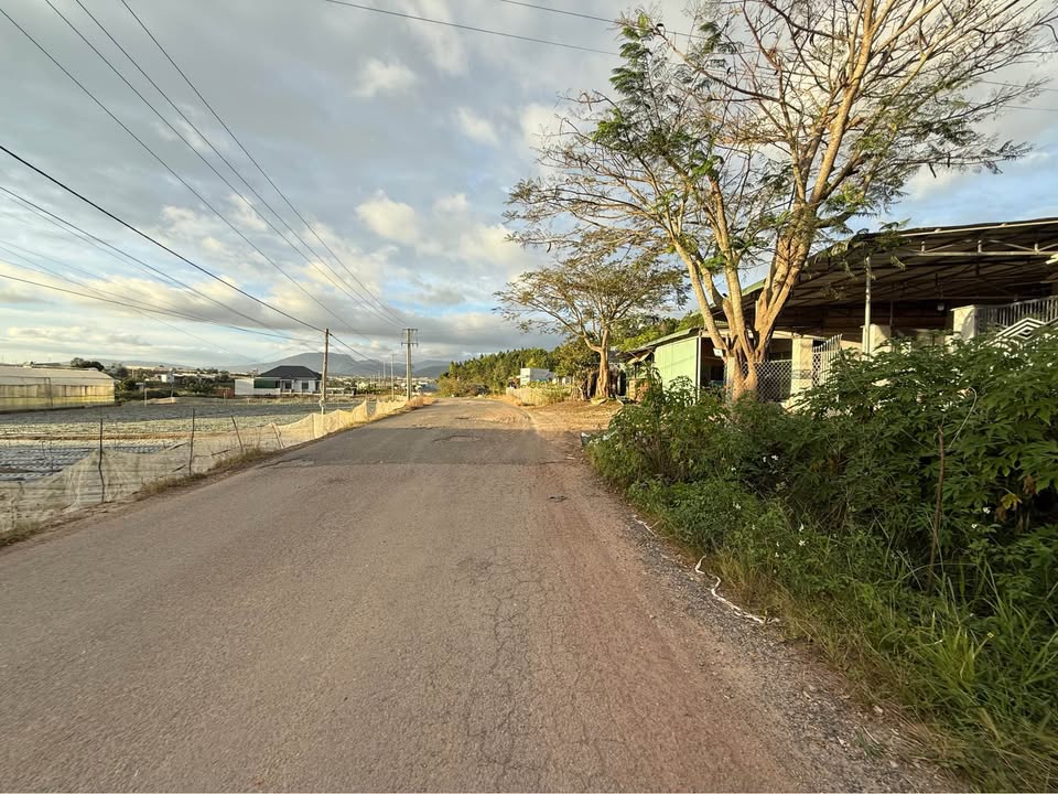 Đất mặt tiền đường DH13, xã Tu Tra, huyện Đơn Dương, 693m² giá chỉ 2 tỷ - Đầu tư sinh lời ngay!