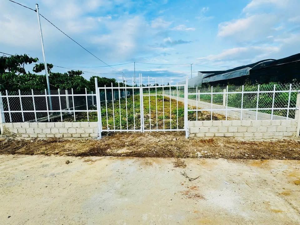 Đất nền Lộc Nga, Bảo Lộc 301m² giá 1.44 tỷ - Đầu tư sinh lời ngay!