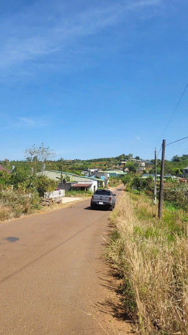 Đất nền Dambri Bảo Lộc 750m² giá 1.65 tỷ - Phù hợp nghỉ dưỡng tuyệt vời!