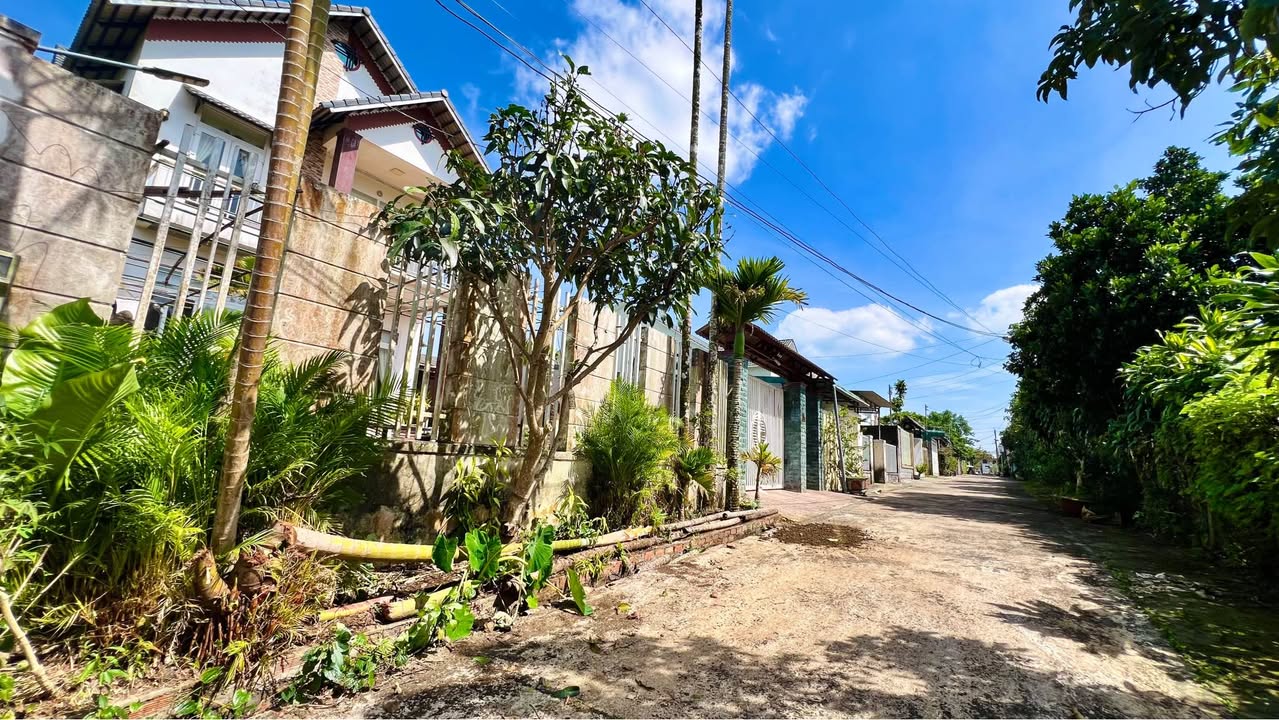 Đất Bùi Thị Xuân, Bảo Lộc 119m² giá 2.75 tỷ - Đầu tư sinh lời ngay!