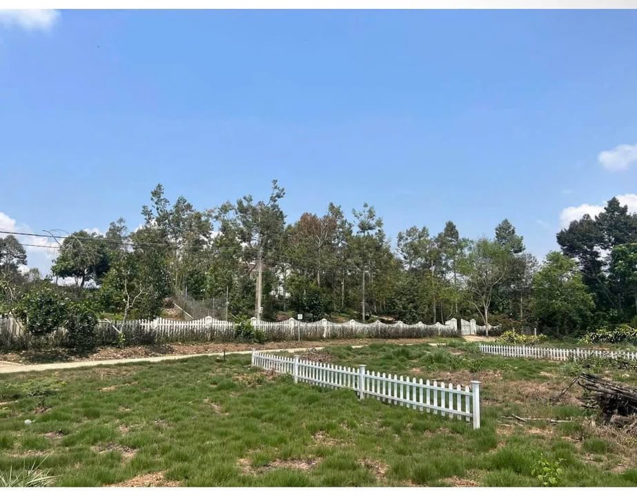 Đất nền Lộc Thành 1025m² giá 1.65 tỷ - Khu vực đắc địa gần sông