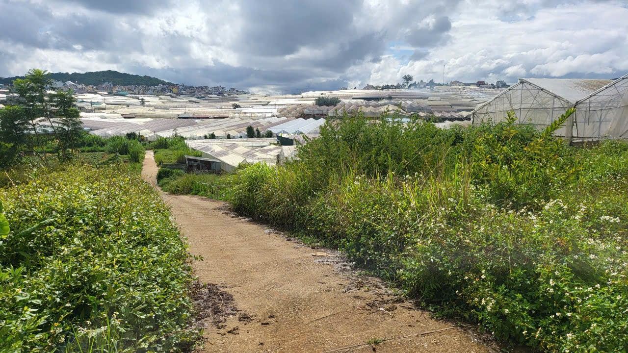 Đất nông nghiệp Đà Lạt 60m² giá 470 triệu - Đường ô tô tận nơi!