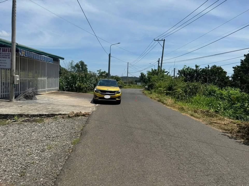 Đất mặt tiền nhựa 5x31m xã Phú Vinh, Đồng Nai - Giá chỉ 1 tỷ thương lượng!