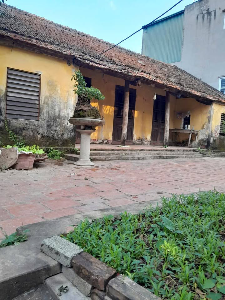 Đất thổ cư Thanh Thùy 185m² - Gần vành đai 4, vị trí đắc địa!