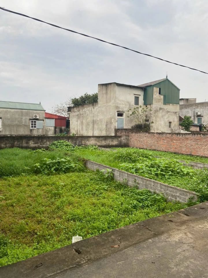 Đất nền Thường Tín 66,1m² giá thỏa thuận - Ô tô vào tận nơi!