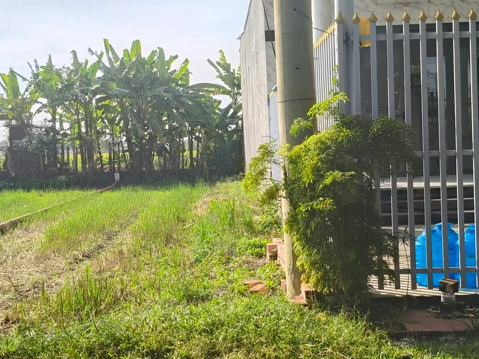 Đất nền 200m² xã Mỹ Hạnh Bắc, Đức Hòa, Long An - Sổ hồng chính chủ giá 780 triệu