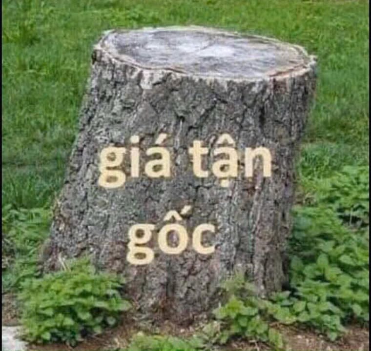 Đất mặt tiền 8,8m tại thị trấn Cồn, 84m² chỉ 540 triệu - Đầu tư sinh lời ngay!