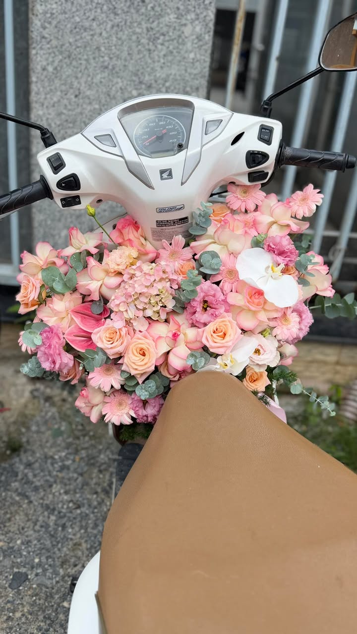 Đất nền Trường Xuân, Hòa Thành, Tây Ninh 10m² giá 1.19 tỷ - Đầu tư sinh lời ngay!