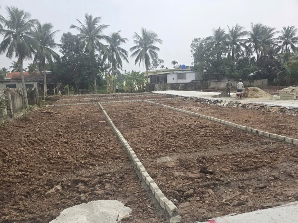 Đất nền Tân Tiến, Nga Sơn, Thanh Hóa 100m² giá chỉ 250 triệu - Tiềm năng sinh lời lớn!