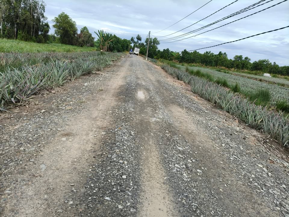 Đất nền Tân Lập 2, Tân Phước 10700m² giá 3.5 tỷ - Đường xe hơi tới nơi