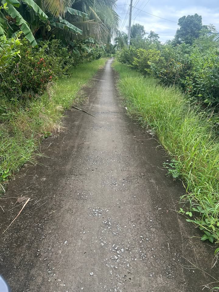 Đất vuông nuôi tôm 28.000m² xã Phong Thạnh Tây B giá chỉ 2.38 tỷ - Sổ đỏ chính chủ!