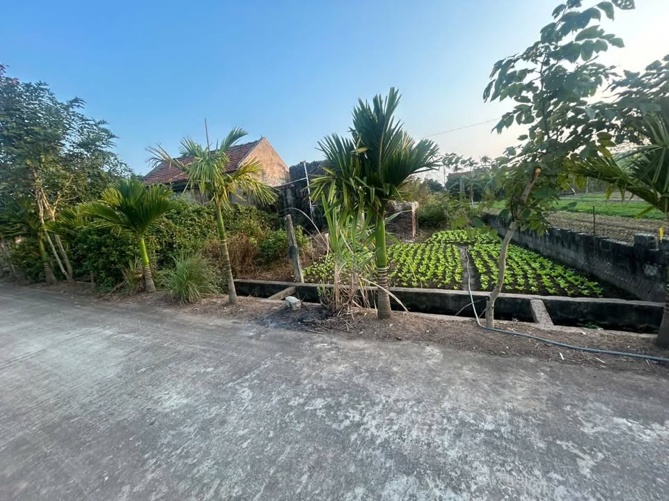 Đất thổ cư 256m² Xóm 5 Nam Điền, Nghĩa Hưng - Giá chỉ 17 triệu/m²